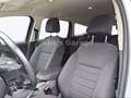 Ford Kuga Trend Klima SHZ PDC AHK 1. Hand Weiß - thumbnail 16