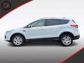 Ford Kuga Trend Klima SHZ PDC AHK 1. Hand Weiß - thumbnail 5