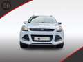 Ford Kuga Trend Klima SHZ PDC AHK 1. Hand Weiß - thumbnail 4