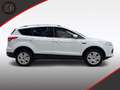 Ford Kuga Trend Klima SHZ PDC AHK 1. Hand Weiß - thumbnail 9