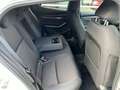 Mazda 3 e-SKY-G 122PS M-HYBRID Autom. EXCLUSIVE-LINE Weiß - thumbnail 13