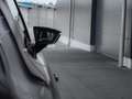SEAT Ibiza Style Hola! 1.0 TSI 5JAHRE/150.000KM Zwart - thumbnail 16