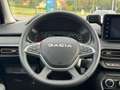 Dacia Sandero Stepway Extreme TCe 90 CVT *City-P./SHZ* Gris - thumbnail 11