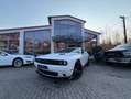 Dodge Challenger 3,6 Leder,Kamera,Sitzheizen Blanco - thumbnail 2