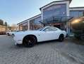 Dodge Challenger 3,6 Leder,Kamera,Sitzheizen Blanco - thumbnail 3