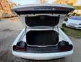 Dodge Challenger 3,6 Leder,Kamera,Sitzheizen Blanco - thumbnail 13