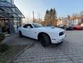 Dodge Challenger 3,6 Leder,Kamera,Sitzheizen Blanco - thumbnail 7