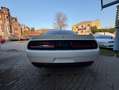Dodge Challenger 3,6 Leder,Kamera,Sitzheizen Blanco - thumbnail 5