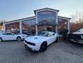 Dodge Challenger 3,6 Leder,Kamera,Sitzheizen Blanco - thumbnail 1