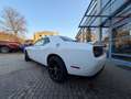 Dodge Challenger 3,6 Leder,Kamera,Sitzheizen Blanco - thumbnail 4