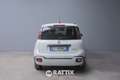 Fiat Panda Pandina 1.0 Firefly Hybrid 70CV Cross Fehér - thumbnail 5