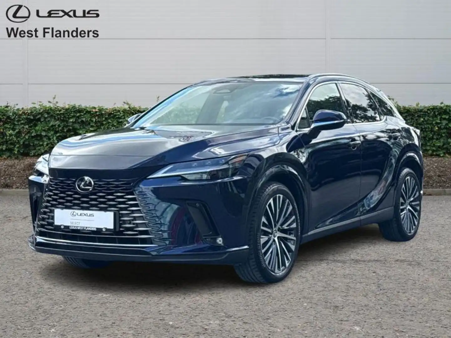 Lexus RX 450h Executive Line+cam+nav+sens V& Bleu - 1