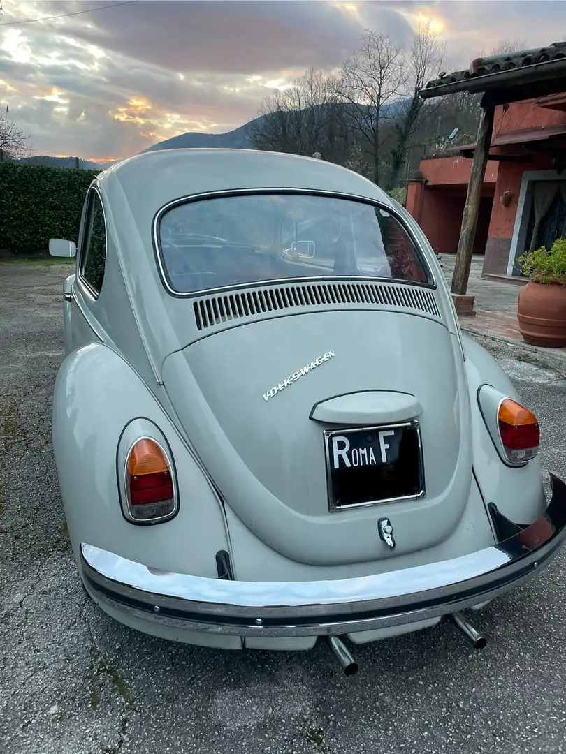 Volkswagen Maggiolino - 1