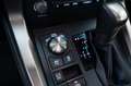 Lexus NX 300h 300h 2.5 Executive 4WD CVT 155CV Grigio - thumbnail 10