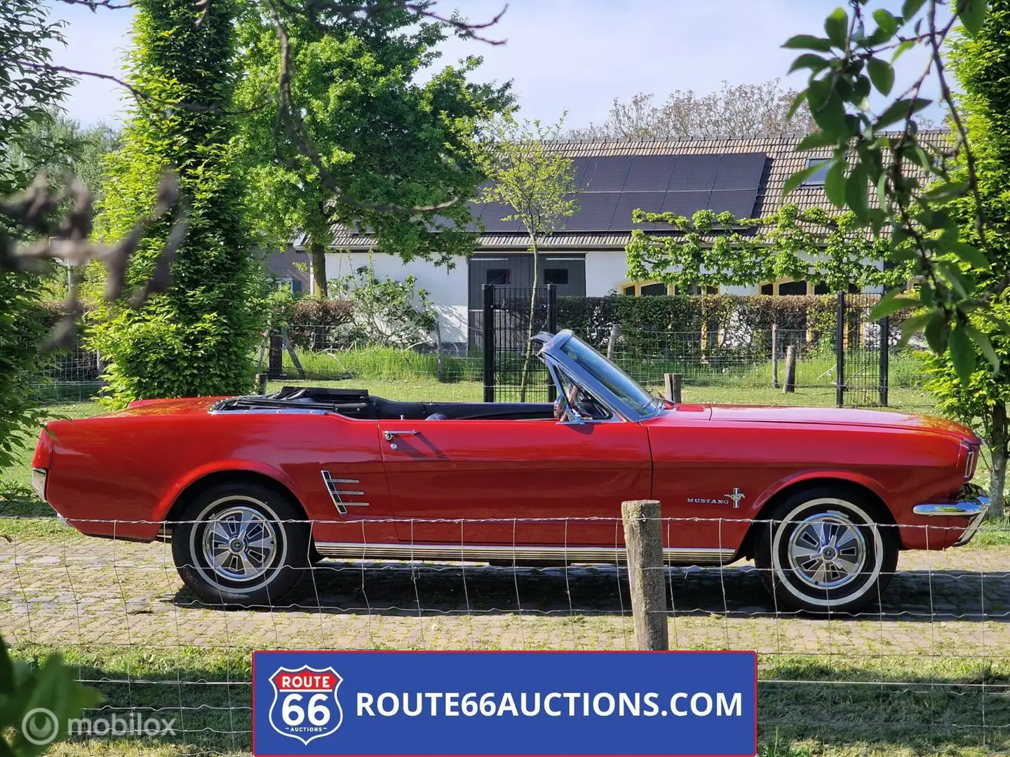 Ford Mustang Cabriolet 1966 | Route 66 Auctions Czerwony - 2