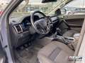 Ford Ranger 2.0 TDCi Wolftrak 4x4 Hardtop+Dachzelt Gris - thumbnail 7