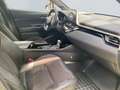 Toyota C-HR 1.8 Hybrid Style Selection *Bearlock*Leder* Grün - thumbnail 15