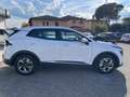 Kia Sportage 1.6 crdi mhev Business dct Bianco - thumbnail 8