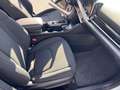 Kia Sportage 1.6 crdi mhev Business dct Bianco - thumbnail 11