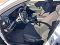 Kia Sportage 1.6 crdi mhev Business dct Bianco - thumbnail 9