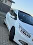 Kia Ceed SW / cee'd SW 1.6 GDI DCT  Platinum Edition Automatic,pano, spor - thumbnail 2