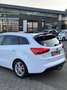 Kia Ceed SW / cee'd SW 1.6 GDI DCT  Platinum Edition Automatic,pano, spor - thumbnail 5
