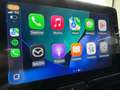 Mazda 2 Mazda2 Hybrid 1.5 VVT e-CVT Full Hybrid Elec. Excl Nero - thumbnail 13