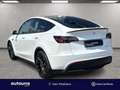 Tesla Model Y 2021 Model Y Performance Dual Motor awd Alb - thumbnail 3