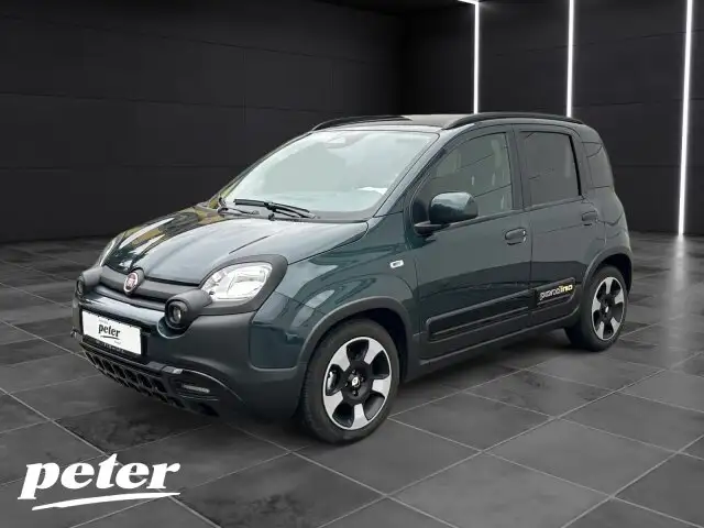 Fiat Panda (SI) Panda 1.0 Mild Hybrid Pandina Klima