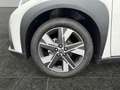 Toyota Aygo X AYGO X 1,5 l Active CVT Hybrid Weiß - thumbnail 15