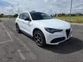 Alfa Romeo Stelvio 2.2 t Veloce Q4 210cv auto Weiß - thumbnail 3