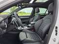 Alfa Romeo Stelvio 2.2 t Veloce Q4 210cv auto Weiß - thumbnail 12