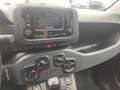 Fiat Panda Hybrid 1.0 FireFly MY23 Grigio - thumbnail 5