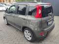 Fiat Panda Hybrid 1.0 FireFly MY23 Grigio - thumbnail 7