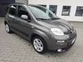 Fiat Panda Hybrid 1.0 FireFly MY23 Grigio - thumbnail 6