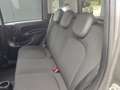 Fiat Panda Hybrid 1.0 FireFly MY23 Grigio - thumbnail 8