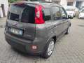 Fiat Panda Hybrid 1.0 FireFly MY23 Grigio - thumbnail 3