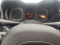 Fiat Panda Hybrid 1.0 FireFly MY23 Grigio - thumbnail 14
