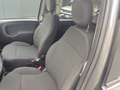 Fiat Panda Hybrid 1.0 FireFly MY23 Grigio - thumbnail 4
