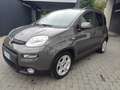 Fiat Panda Hybrid 1.0 FireFly MY23 Grigio - thumbnail 2