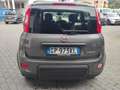 Fiat Panda Hybrid 1.0 FireFly MY23 Grigio - thumbnail 12