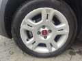 Fiat Panda Hybrid 1.0 FireFly MY23 Grigio - thumbnail 10