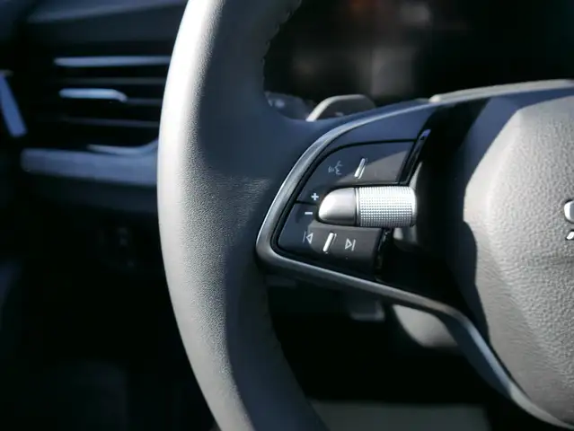 Skoda Scala view 11