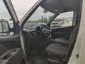 Fiat Doblo Doblò SX Kasten Weiß - thumbnail 6