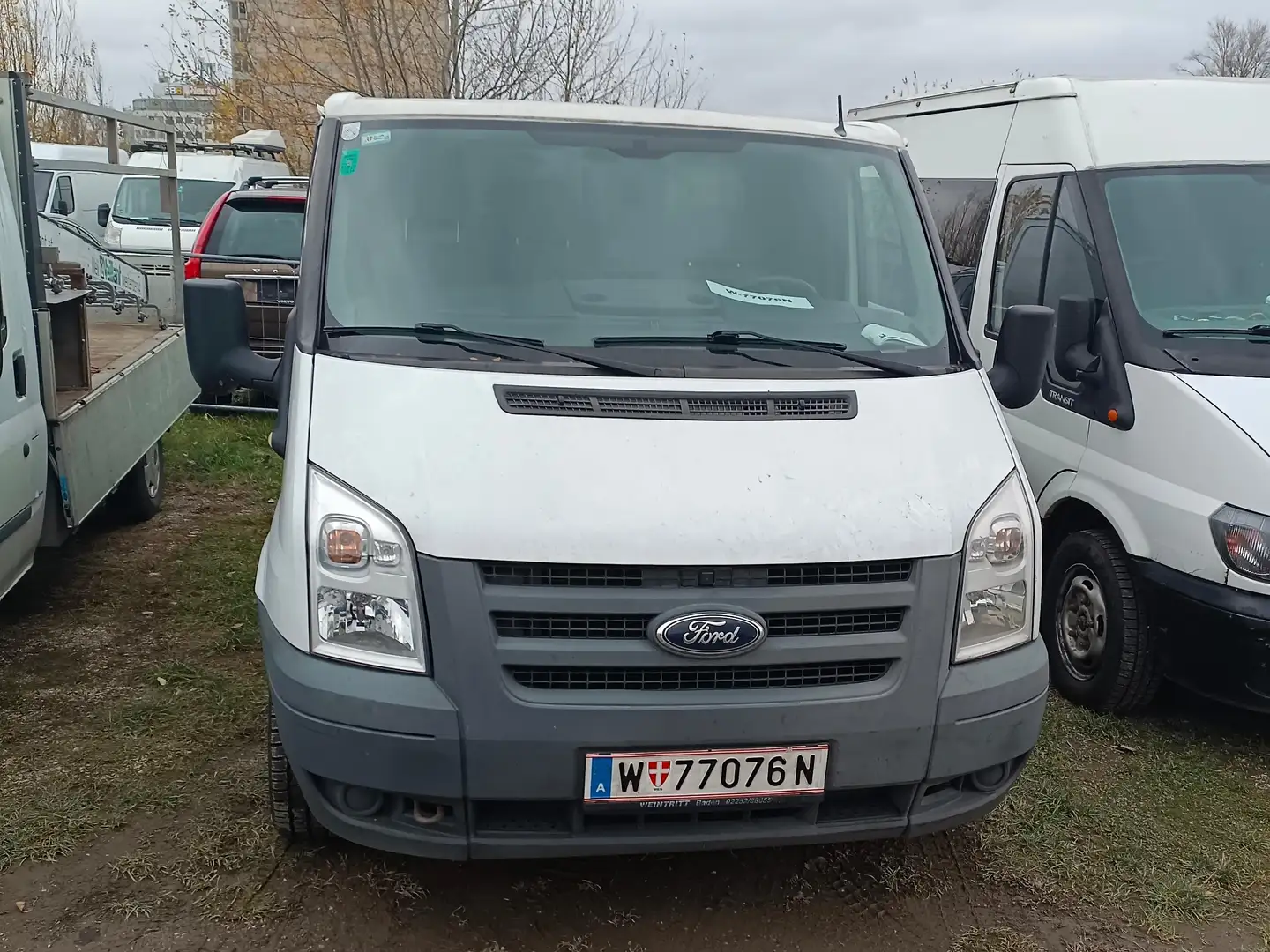 Ford Transit Kastenwagen Weiß - 1