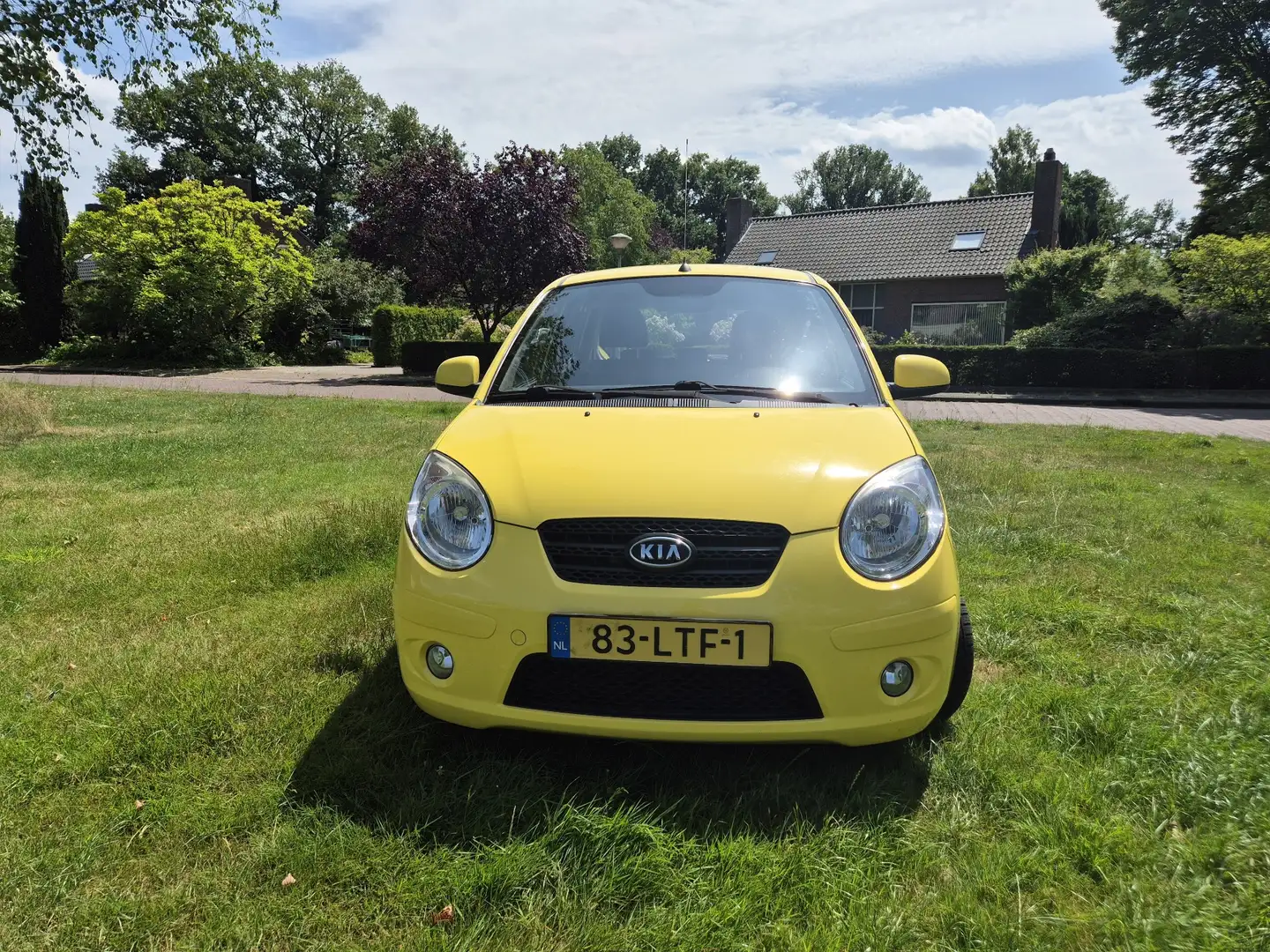 Kia Picanto 1.0 Seven Geel - 2