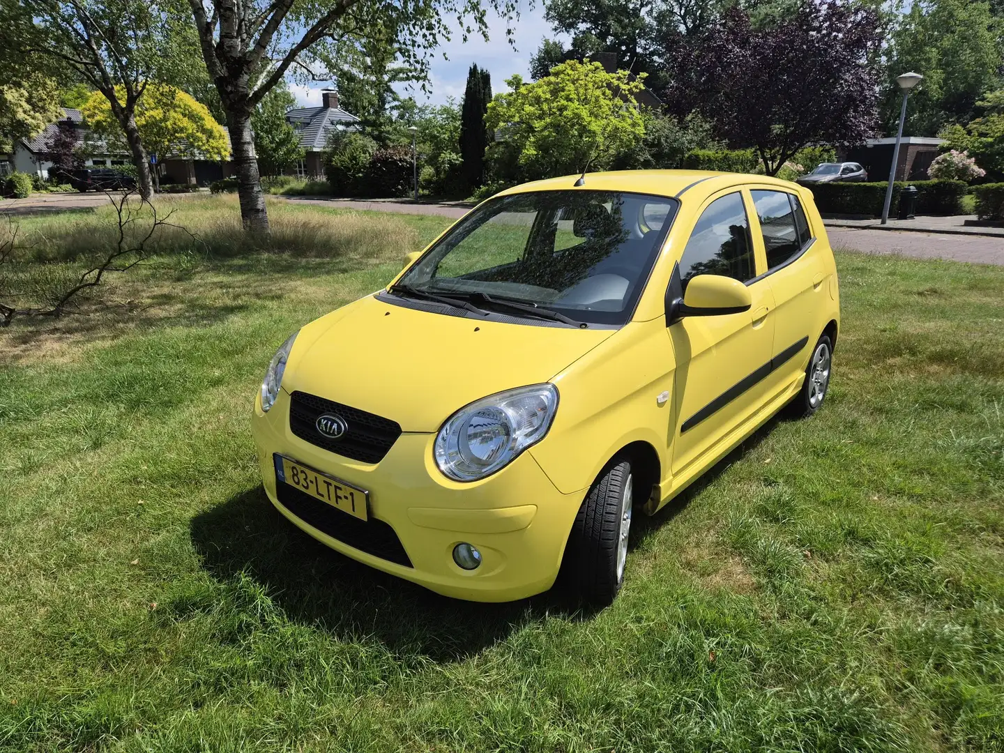 Kia Picanto 1.0 Seven Geel - 1