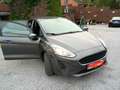 Ford Fiesta Fiesta 1.1i  VI 70 5P Grijs - thumbnail 1