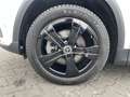 Mercedes-Benz EQA 250 EQA 250 Progressive/KeyGo/LED/R-Kamera/Totwinkel Weiß - thumbnail 16