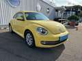 Volkswagen Beetle Design 1.2 TSI Klima Sitzheizung Tempomat Gelb - thumbnail 14